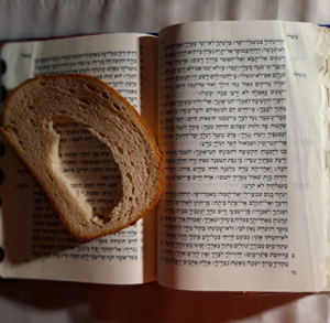 זיכרון מבעד לעדשה – תלמידי אורט בתיעוד אומנותי מקוון של סיפורי ניצולים