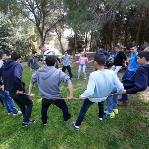מודל החינוך ההוליסטי