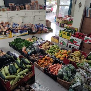 הצלת מזון שעומד להיזרק- תלמידי תכנית SALL באורט קרית טבעון משלבים ידיים עם הקהילה