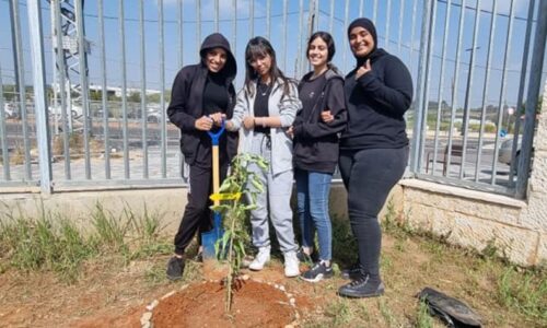 חינוך לקיימות באורט מקיף ערבי רמלה: תלמידים מאמצים עצים בסביבת ביה”ס