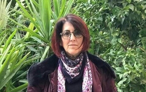 ארנה שי