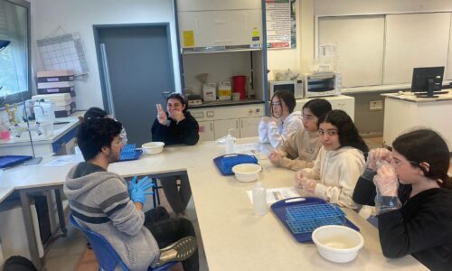 ORT Start Up Education – עם החזרה לשיגרת למידה תלמידי אורט מעלים הילוך בלימודי מדע וטכנולוגיה