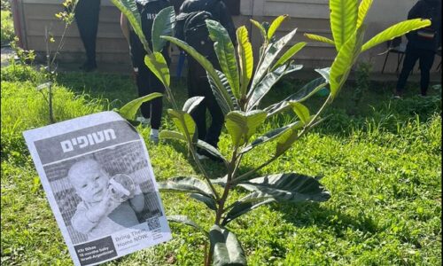 נזכור ולא נשכח! מובילים נטיעות עצים לזכרם של הנופלים הי”ד ותפילות להשבת החטופים