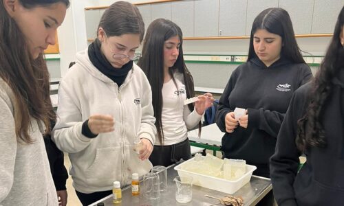 קבוצות המנהיגות בתכנית אורט בריא ממציאות את עצמן מחדש