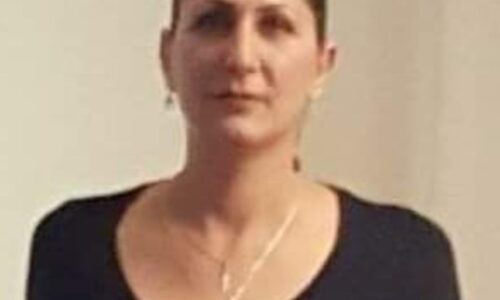 דפנה פוקס