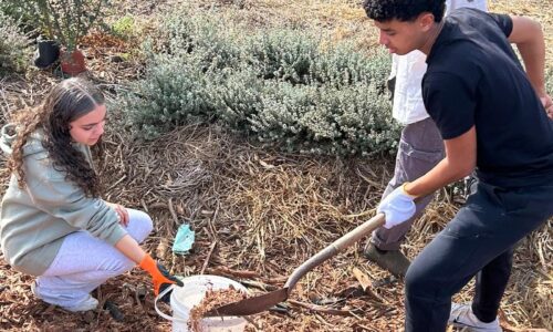 מתנדבים בחקלאות ו’מחברים بين עולמות’ – לומדים לחיות יחד באמצעות נתינה לקהילה