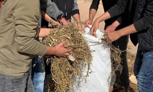 אורט אלפארוק כסייפה – שומרים על נקיון סביבתי כדרך חיים