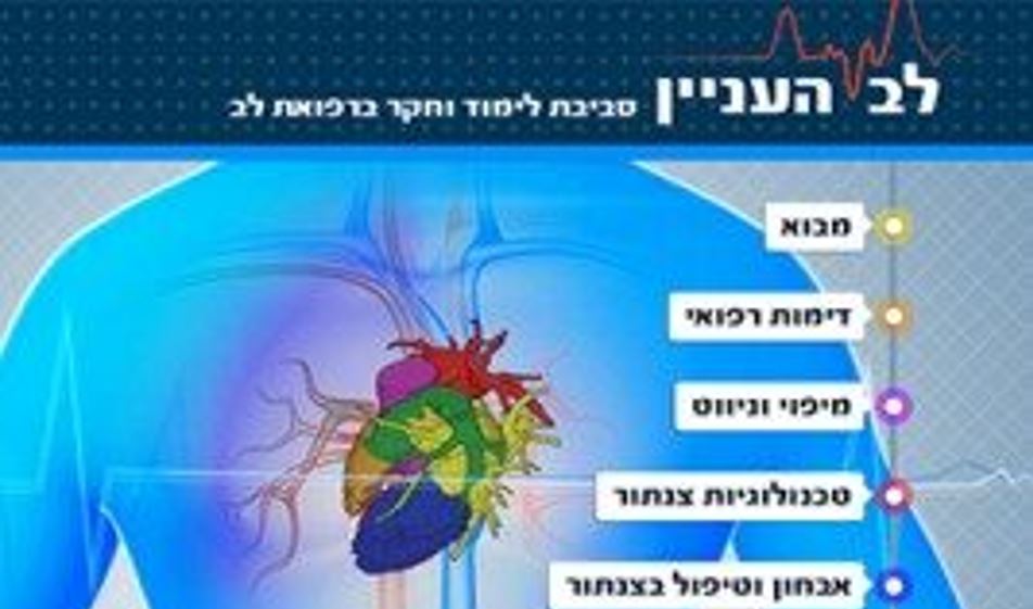 לב העניין לב העניין