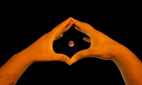 עוגן חינוכי בקהילה: בתי הספר של אורט ארחו והובילו אירועי קהילה ומדע חוויתיים במהלך ליקוי הירח מעל ישראל