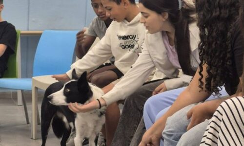 יום זכויות הילד הבינלאומי באורט